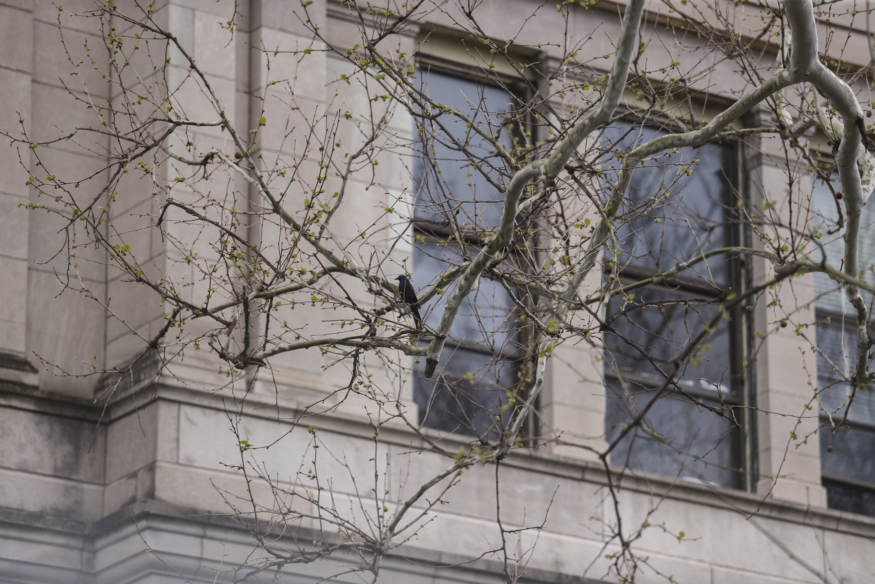 042219-mda-nws-courthouse-006